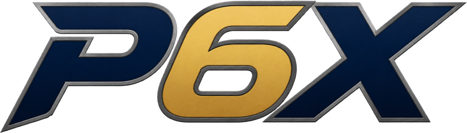 p6x Logo